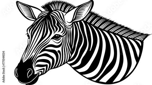 zebra and svg file