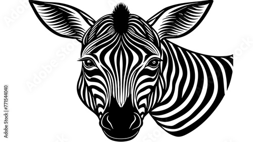 zebra and svg file photo