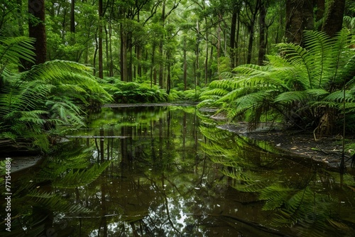 Tranquil Forest Pond with Lush Greenery