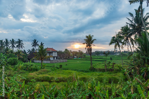 View from Petulu heron birds watch point at Bali, Indonesia