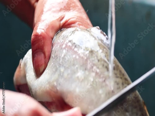 Video of unknown person washing a trout in Peru. Concept of food preparation.