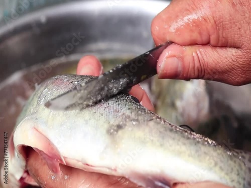 Video of unknown person washing a trout in Peru. Concept of food preparation.