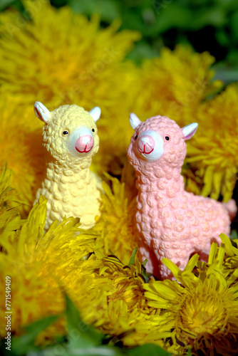 cute llamas in dandelions © Sophie