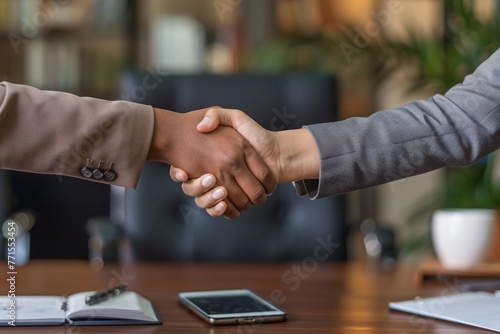 Business Handshake Captures Success