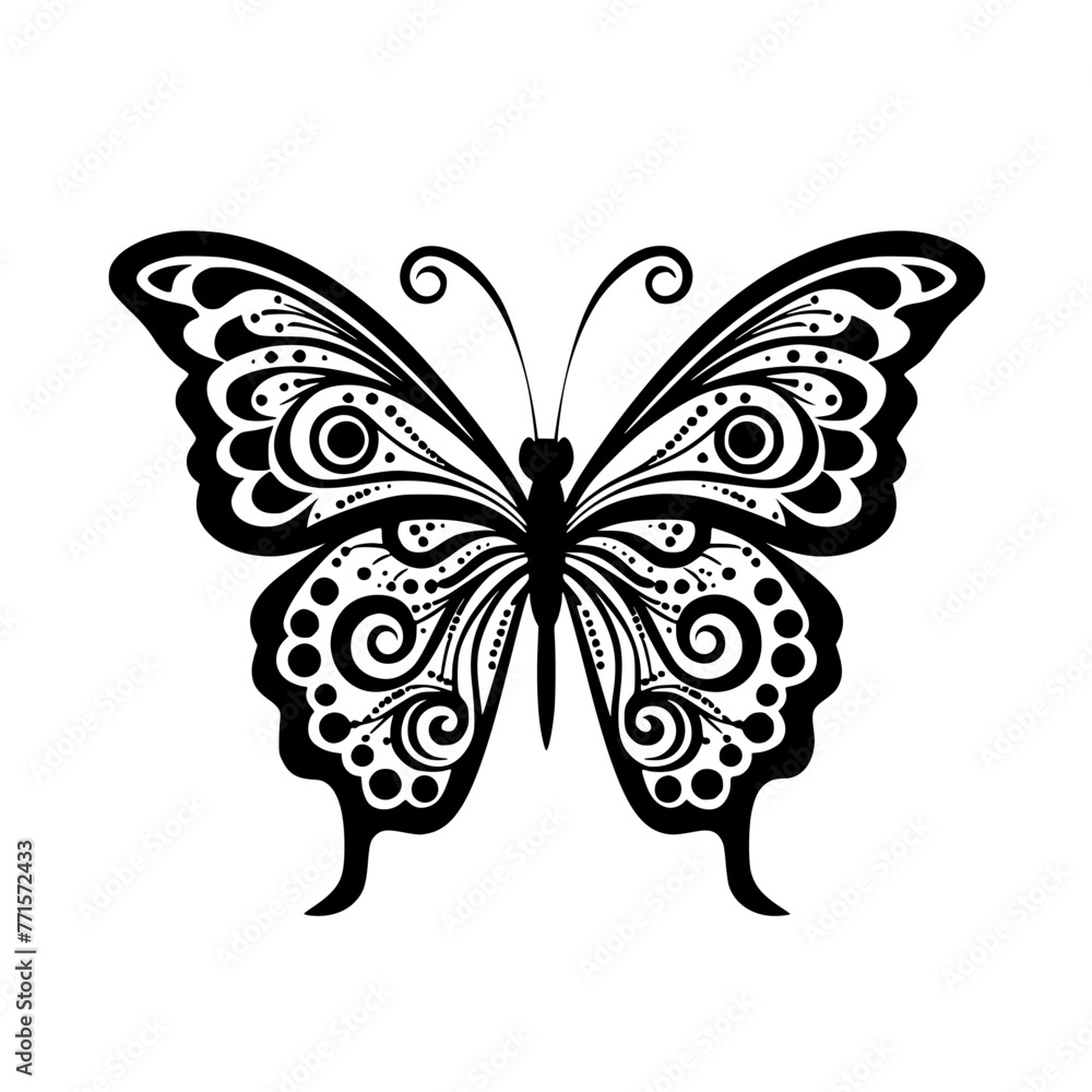 butterfly butterfly