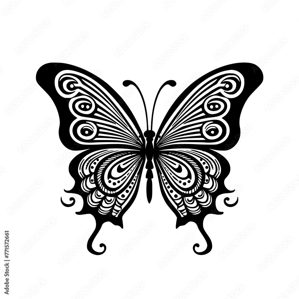 butterfly vector butterfly vector