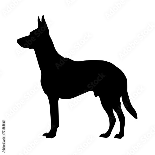 Simple black silhouette SVG of a Malinois  white background 