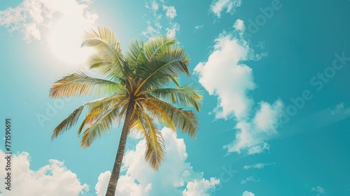 Palm tree on tropical beach with blue sky and white clouds abstract background, Copy space of summer vacation and travel concept. © Khalif
