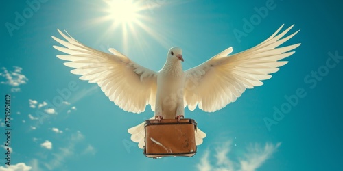 A white bird flies carrying a brown bag