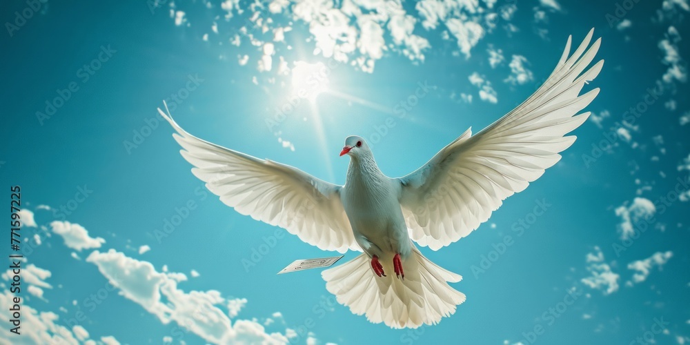 flying dove in blue sky flying dove in blue sky