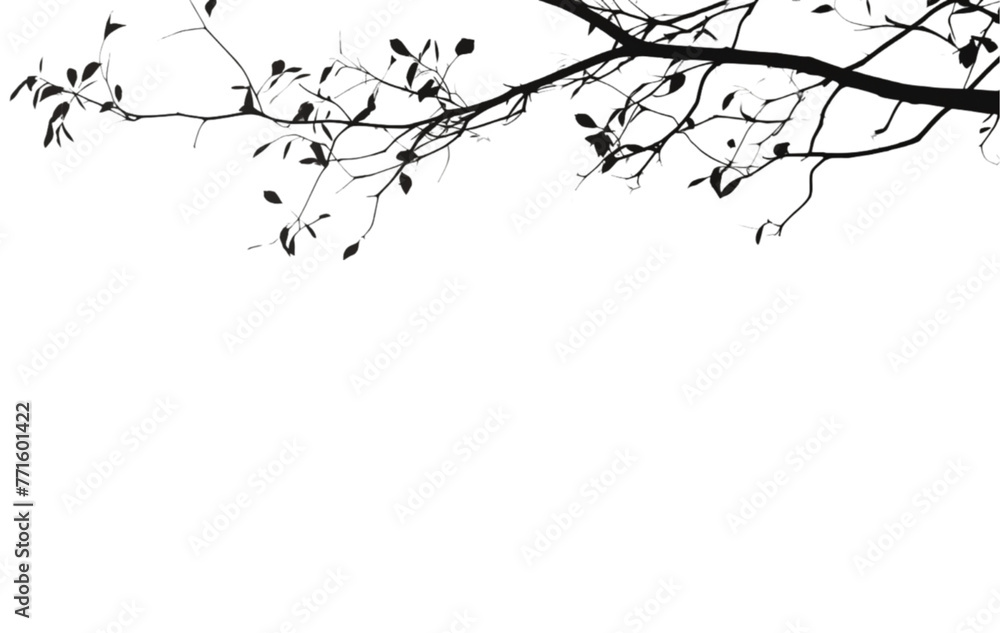 Dry tree isolated on white background
