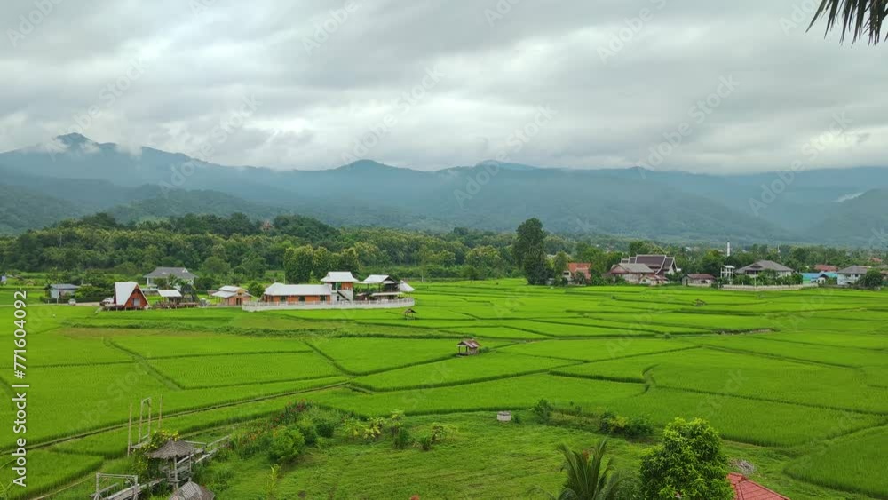 Landscape Green nature of Green Rice Filed Meadow with Traditional Thai House in the Rice filed seen from Phuket Temple at Pau Nan Thailand in Rainy day Season Footage Landscape Green nature of Green Rice Filed Meadow with Traditional Thai House in the Rice filed seen from Phuket Temple at Pau Nan Thailand in Rainy day Season Footage