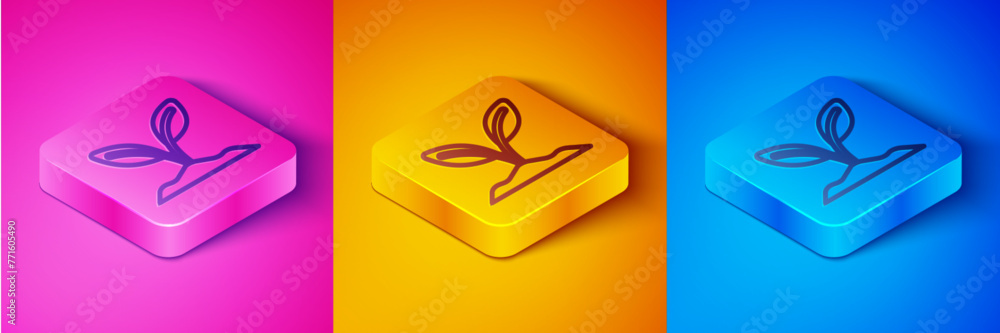 Isometric line Sprout icon isolated on pink and orange, blue background. Seed and seedling. Leaves sign. Leaf nature. Square button. Vector Isometric line Sprout icon isolated on pink and orange, blue background. Seed and seedling. Leaves sign. Leaf nature. Square button. Vector