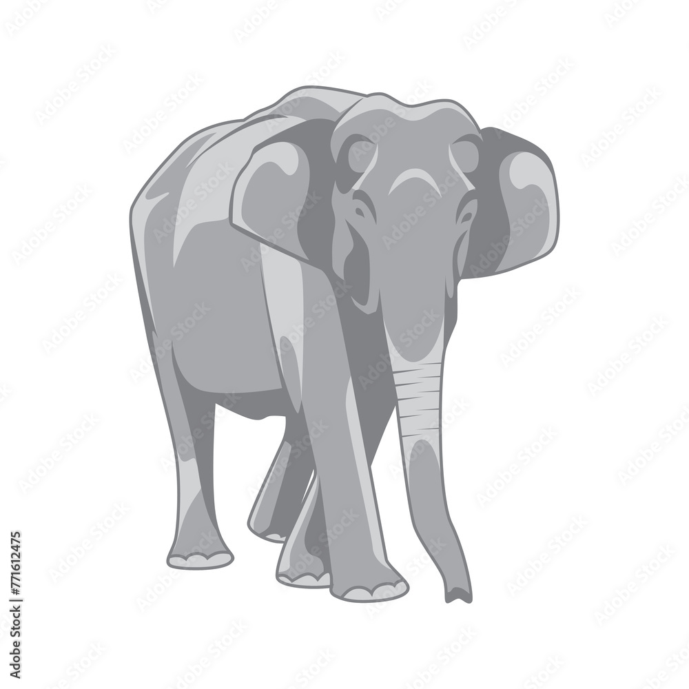 Fototapeta premium vector illustration of gray elephant