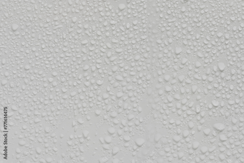 Water drops on white background texture. backdrop glass covered with drops of water. grey bubbles. condensate Water drops on white background texture. backdrop glass covered with drops of water. grey bubbles. condensate