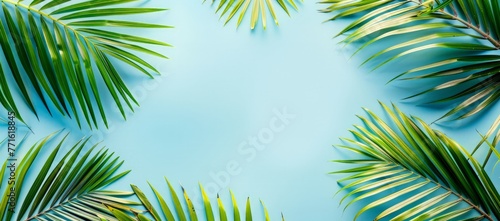 Vibrant green palm leaves contrast against a bright blue background