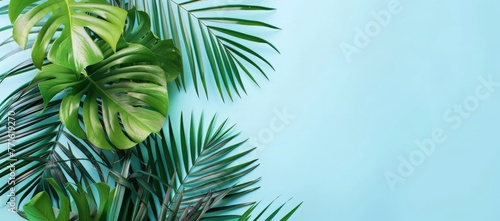 A green plant with vibrant leaves set against a bright blue background