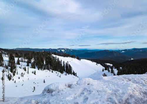 View of the mountains from the Timberlaine Plateau. Oregon. The vicinity of Mount Hood