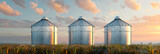 Stocks of grain in granaries Agriculture grain deal concept metal grain storage stands in a fieldTranquil Grain silos countryside Crop farm ,Agriculture silo farm.


