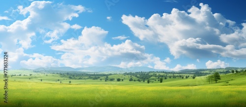 A lush grassland under a clear blue sky with fluffy white clouds, creating a peaceful natural landscape in a green ecoregion