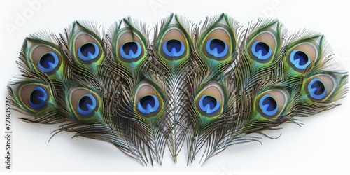 Majestic peacock feathers arranged in abstract design, on white background. photo