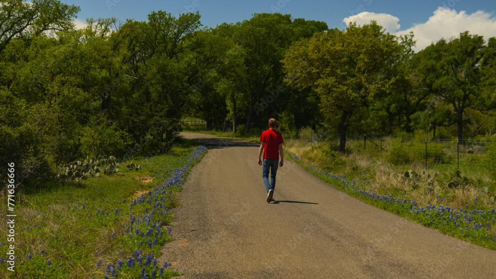 Obraz premium Person walking on road lined with Texas bluebonnets