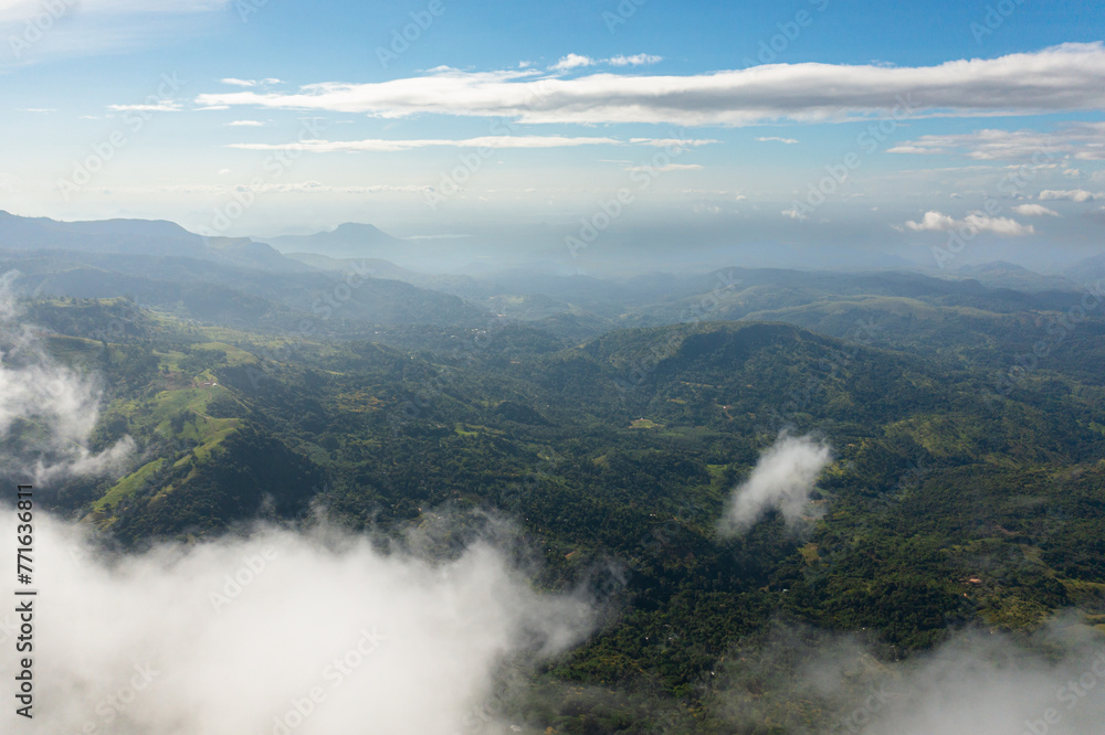 A mountain range with a forest through the clouds. Slopes of mountains with evergreen vegetation. Sri Lanka, Lipton's Seat.