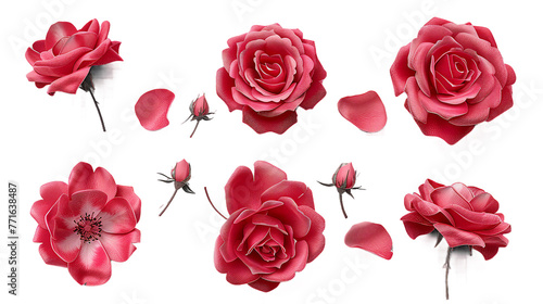 English Rose Collection: David Austin Rose Varieties in 3D Digital Art, Isolated on Transparent Backgrounds - Ideal for Floral Designs and Botanical Graphics