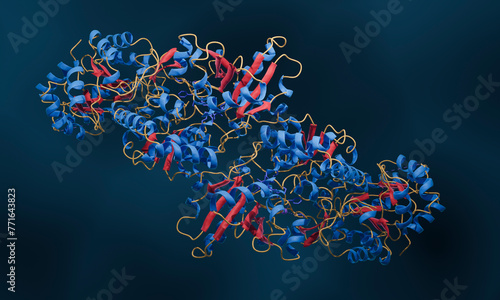 Fototapeta Naklejka Na Ścianę i Meble -  Enzyme structure