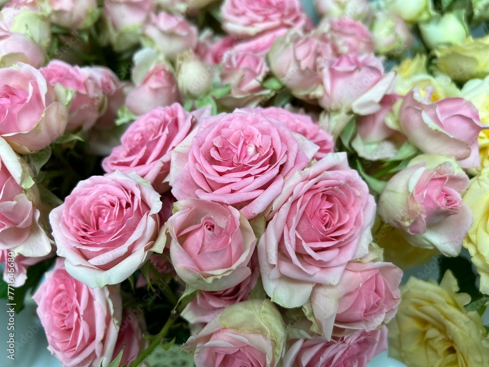 pink roses bouquet