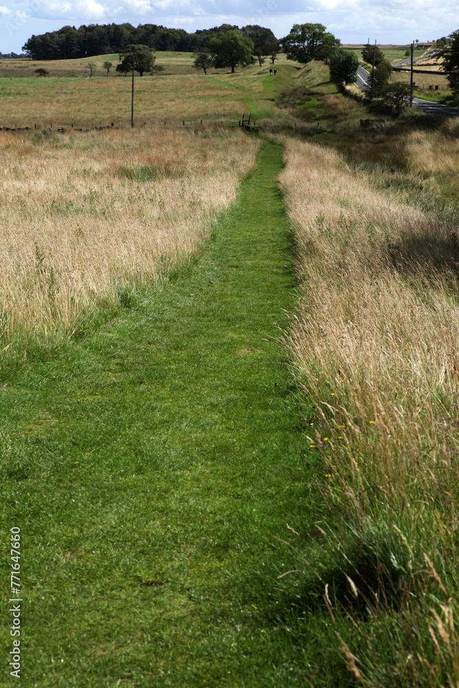 Along the Hadrian's wall between Chollerford and Heddon-on-the-Wall - Northumberland - England - UK Along the Hadrian's wall between Chollerford and Heddon-on-the-Wall - Northumberland - England - UK