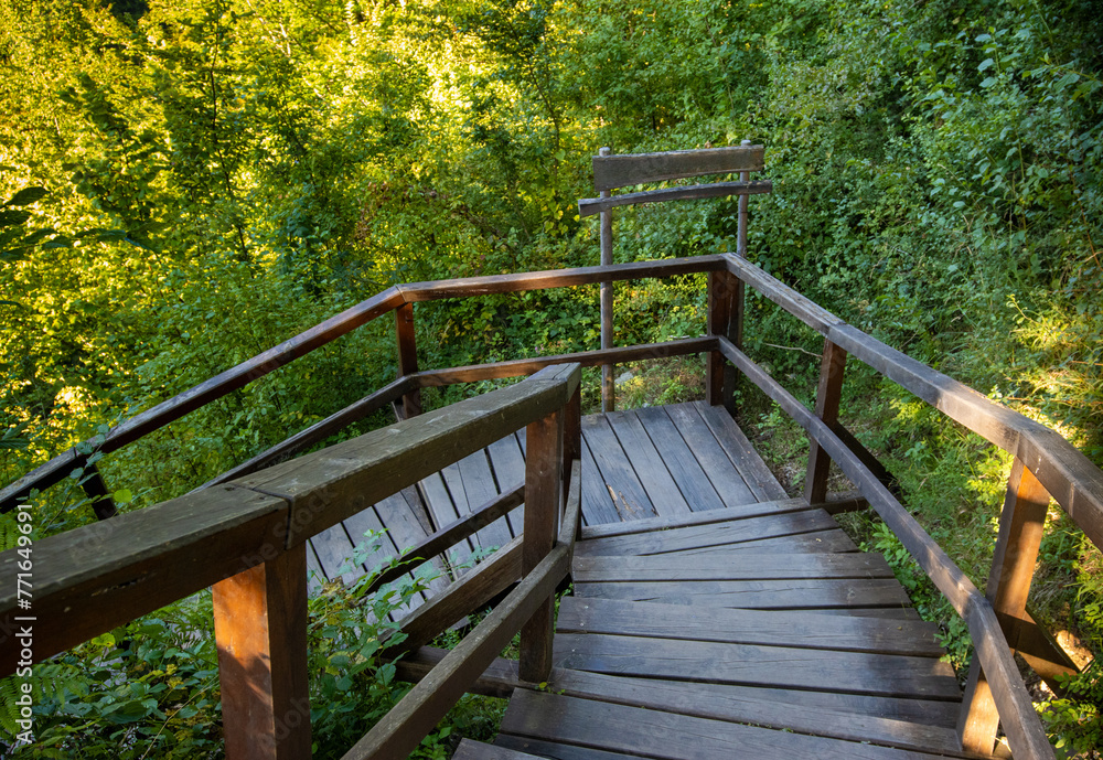 Wooden path with steps in the forest Sanski Most, Bosnia and Herzegovina Wooden path with steps in the forest Sanski Most, Bosnia and Herzegovina