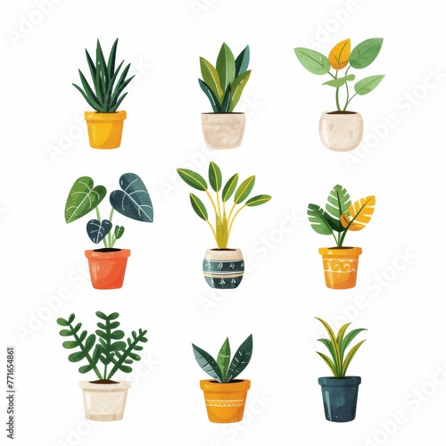 9 retro minimal screenprint of potted houseplants, white background, Snake plant, Pothos, Spider plant, ZZ plant, Peace lily, Aloe vera, Rubber plant, Monstera photo