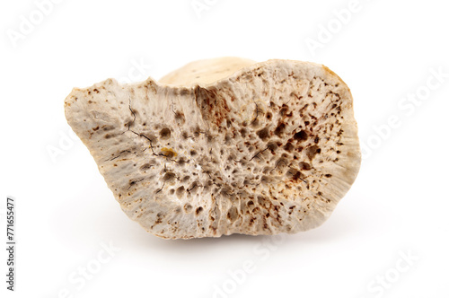  Beef bone close up  isolated on a white background © unclepodger