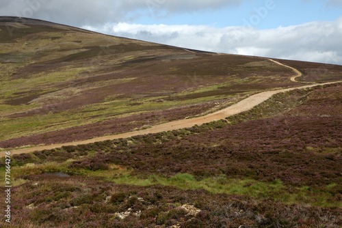 Scottish landscape - Mount Battock from Glen Esk - Angus - Scotland - UK