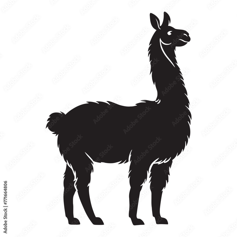 Llama Silhouette Llama Silhouette