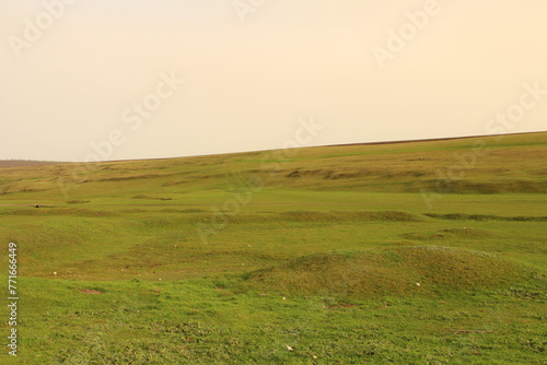 A grassy field with a cloudy sky