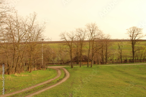 A dirt road with trees on either side of it