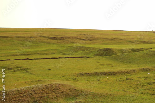 A large green field