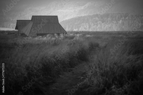 Fototapeta Naklejka Na Ścianę i Meble -  Polska Bieszczady Jesień