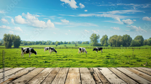 A wooden platform overlooks a sunlit pasture with grazing cows and a blue sky. © VLA Studio