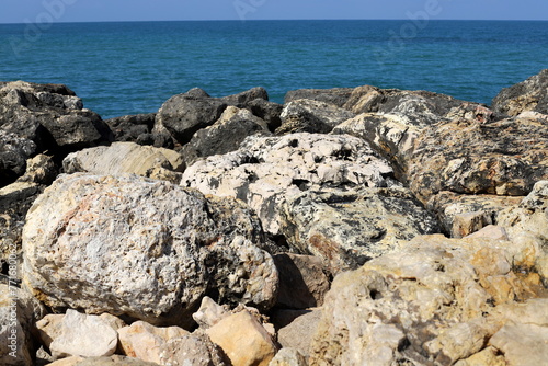 Stones and shells on the shore of the Mediterranean Sea.