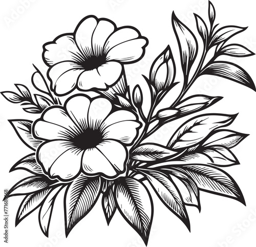 vector allamanda flower drawing, easy allamanda flower drawing, painting trumpet creeper drawing, allamanda cathartic coloring pages, allamanda cathartic allamanda floral diagram

