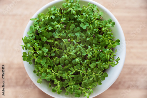 Microgreens growing in a white bowl, vegetable greens, young sprouts.