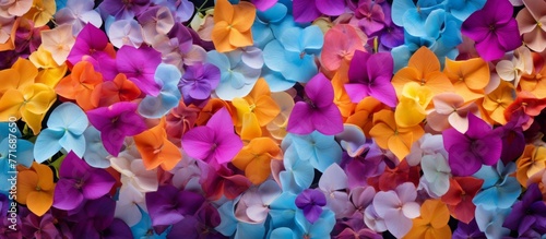 A vibrant array of purple, magenta, and electric blue flowers with delicate petals are scattered on the ground, creating a beautiful artistic pattern at this annual plant event #771687650