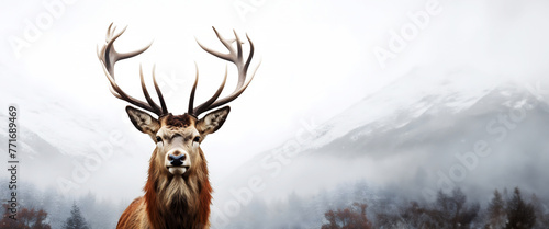 Red deer with large antlers stands confidently against background of snow-capped mountains. Landscape banner with copy negative space. Animal wallpaper. 