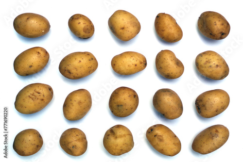 Twenty orderly arranged small potatoes