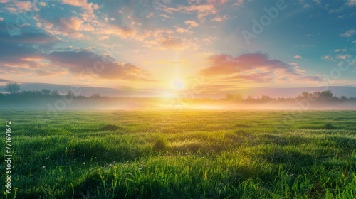 landscape with lawn with cut fresh grass in early morning,