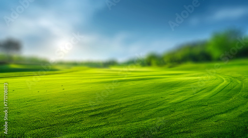 landscape with lawn with cut fresh grass in early morning