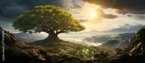 A majestic tree stands on a hill surrounded by a lush forest. The sky is covered with fluffy clouds  enhancing the natural beauty of the landscape with green grass and terrestrial plants
